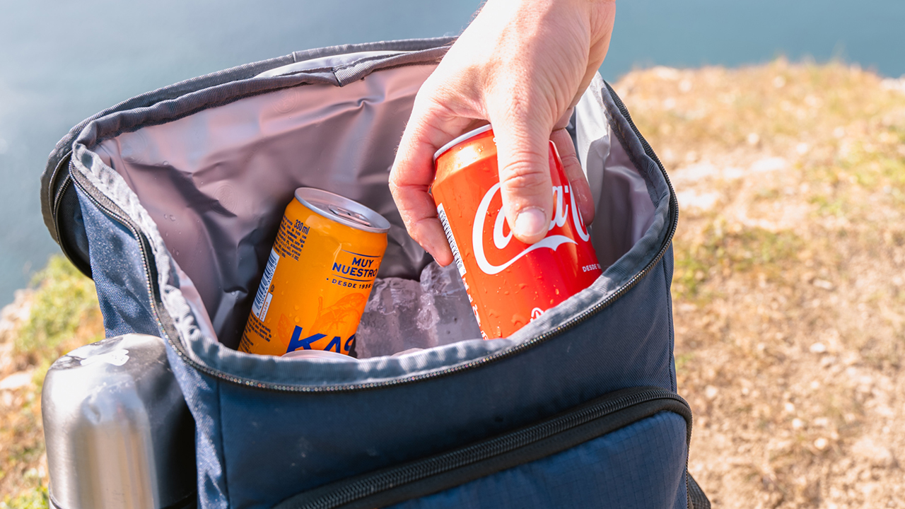 The Complete Guide to Sourcing Insulated Cooler Bags Wholesale from Everich